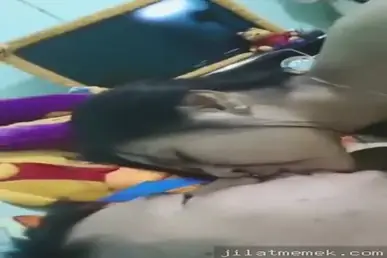 Janda Bohay Ciuman Mesra Sama Duda, Lanjut Entot Sampe Banjir